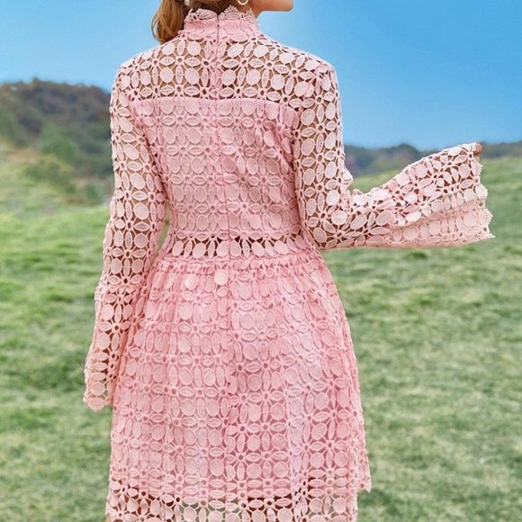 Mesh Insert Mock Neck Flounce Sleeve Lace Dress PINK - Picture 6 of 7